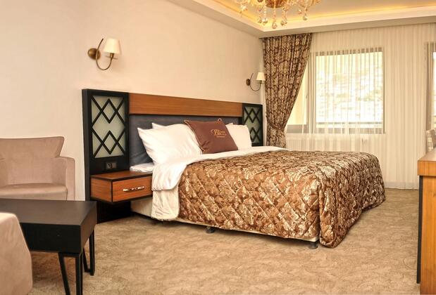 Büyük Bayburt Otel - Görsel 9