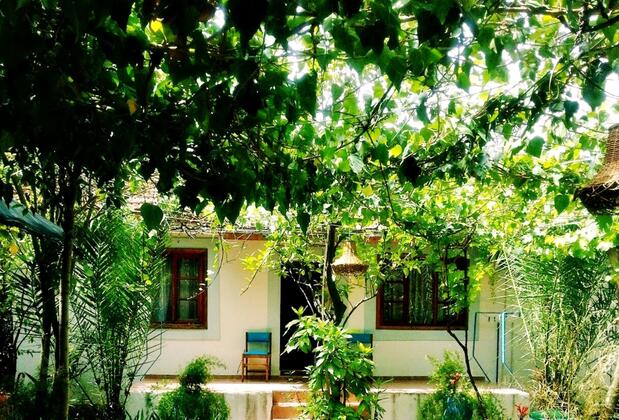 Olympos OASE Pansiyon Konukevi - Görsel 3