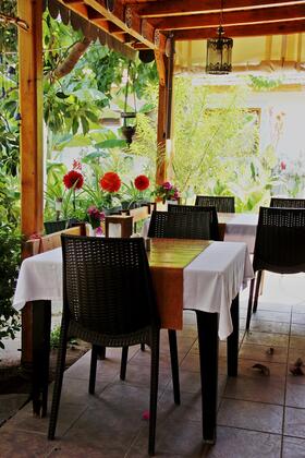 Olympos OASE Pansiyon Konukevi - Görsel 8