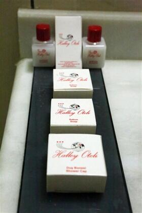 Halley Hotel - Görsel 33