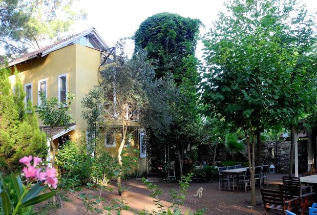 Daphne House - Görsel 5