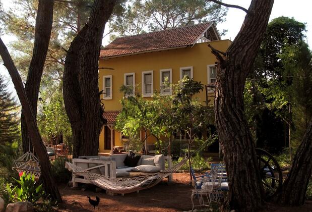 Daphne House - Görsel 6