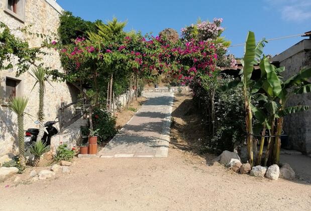 Eco Farm Boutique Hotel - Görsel 3