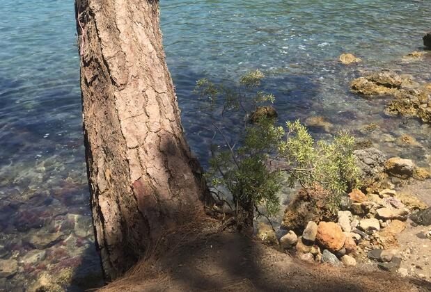 7 Green Adrasan Boutique Otel - Görsel 5