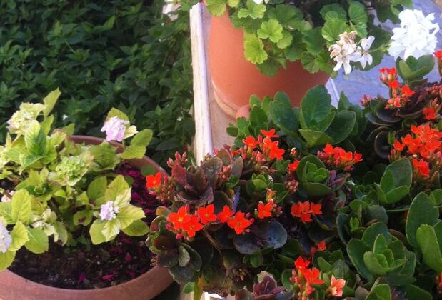 Beşik Otel - Görsel 11