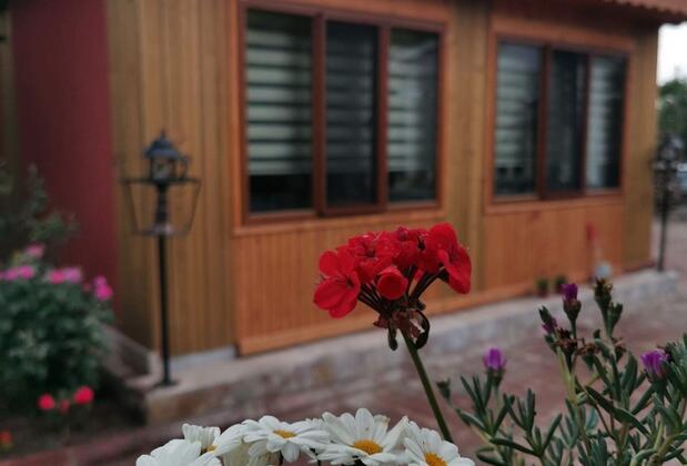 Assos Livza Butik & Apart Otel - Görsel 18