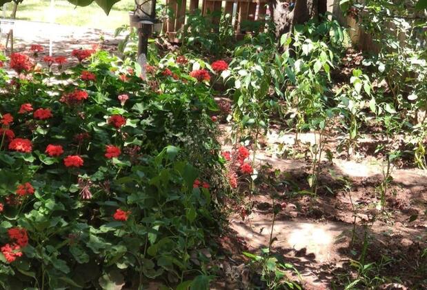 Assos Livza Butik & Apart Otel - Görsel 43