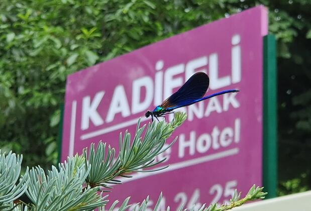 Kadifeli Konak Boutique Hotel - Görsel 29