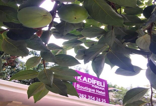 Kadifeli Konak Boutique Hotel - Görsel 36