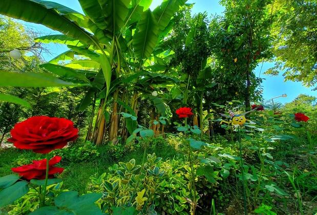 Kadifeli Konak Boutique Hotel - Görsel 39