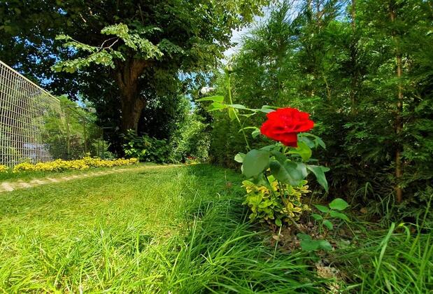 Kadifeli Konak Boutique Hotel - Görsel 31