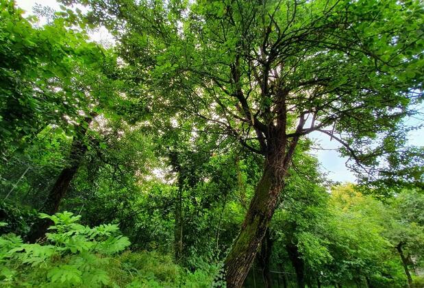 Kadifeli Konak Boutique Hotel - Görsel 45