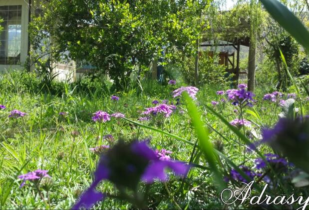 Adrasya Bungalow - Görsel 11