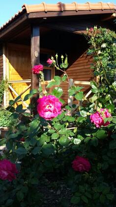 Adrasya Bungalow - Görsel 9