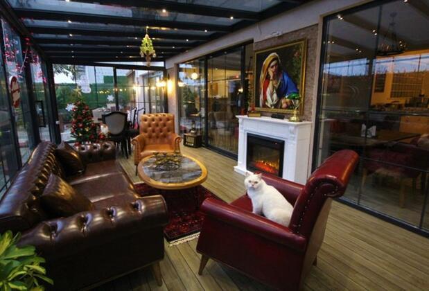 LP Lagün Palas - Görsel 22