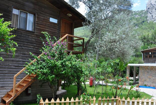 Türkmen Ağaç Evleri - Görsel 38