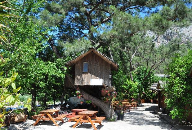 Türkmen Ağaç Evleri - Görsel 42