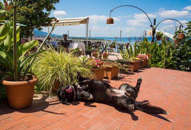 Sapanca Villa Suite Butik Otel - Görsel 23