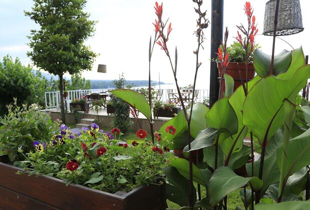 Sapanca Villa Suite Butik Otel - Görsel 35