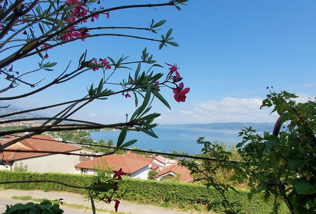 Sapanca Villa Suite Butik Otel - Görsel 37