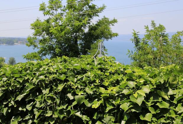 Sapanca Villa Suite Butik Otel - Görsel 46