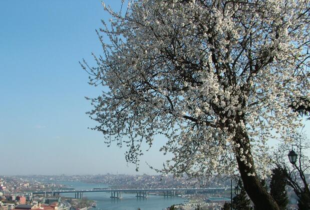 Turquhouse Boutique Hotel - Görsel 3