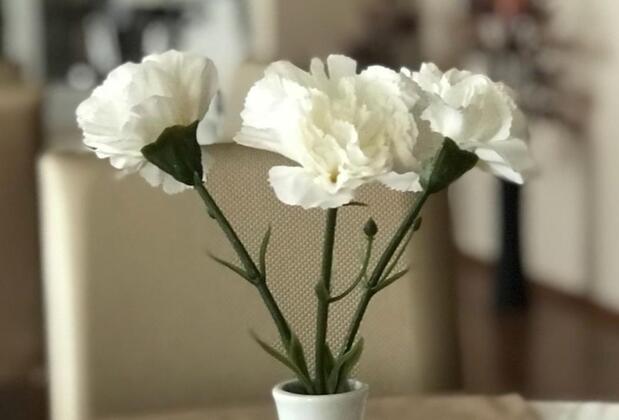 Aşkın Art Hotel - Görsel 4