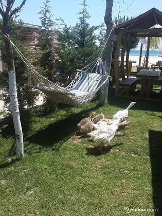 Safir Beach Resort Hotel - Görsel 3