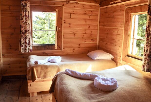 Tanevit Dağevi - Görsel 10