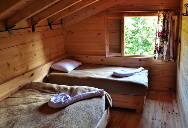 Tanevit Dağevi - Görsel 17