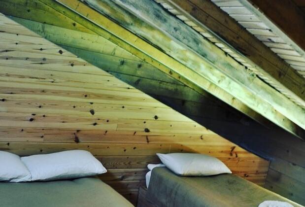 Tanevit Dağevi - Görsel 12