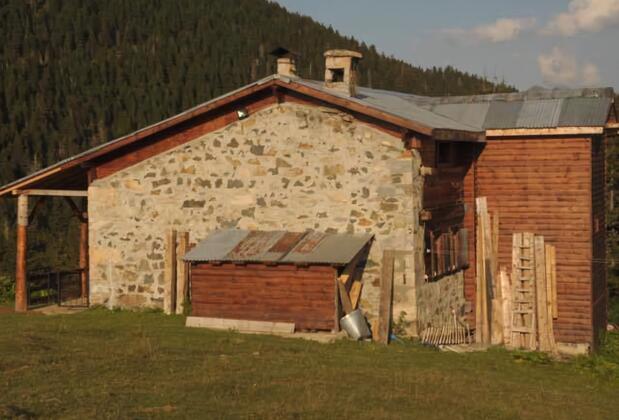 Tanevit Dağevi - Görsel 5