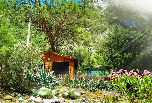 CanaRio Pension - Görsel 3