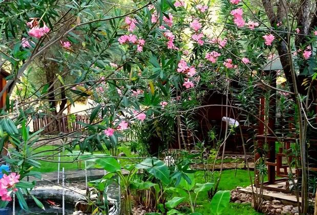 CanaRio Pension - Görsel 4