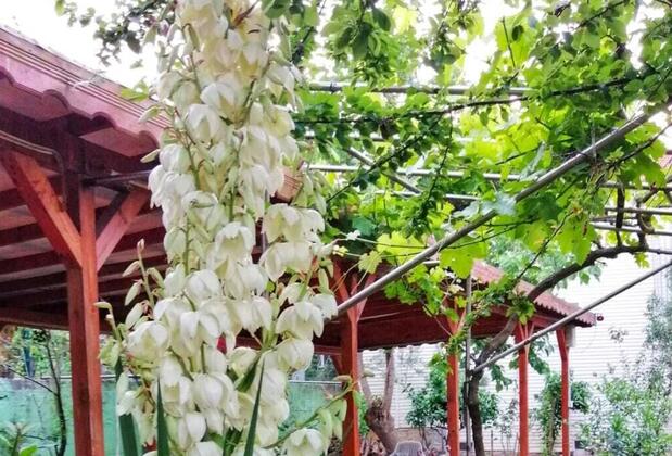 Kılıç Motel - Görsel 5