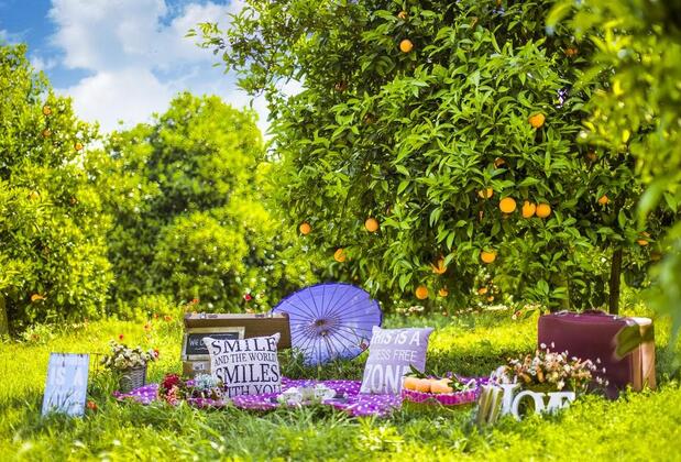 Lavanta Cottage - Görsel 3