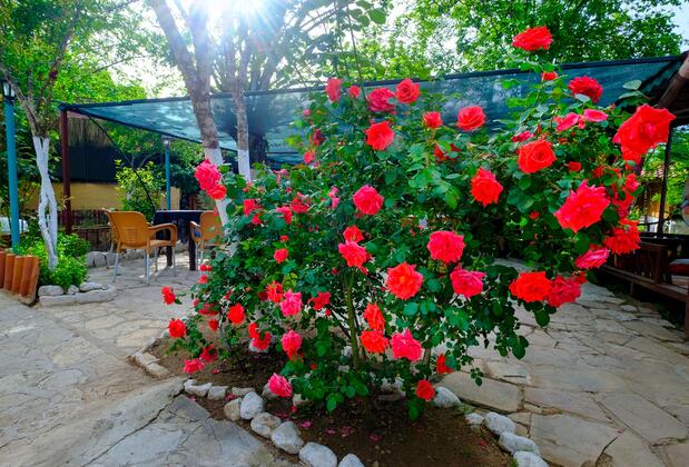 Route 66 Pansiyon - Görsel 6