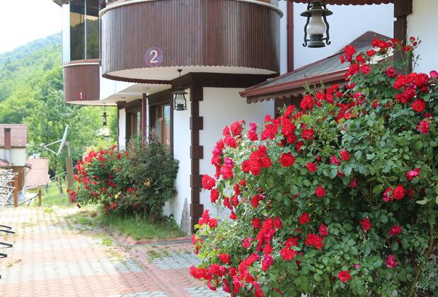 Abant Manzara Otel - Görsel 16