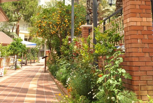 Orient Suite Apart Hotel - Görsel 3