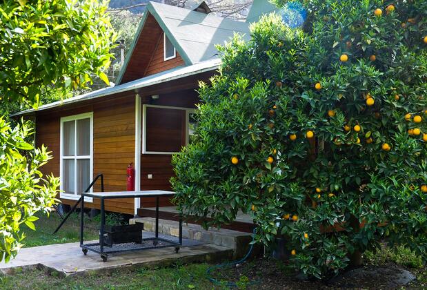 Arcadia Villas - Görsel 5