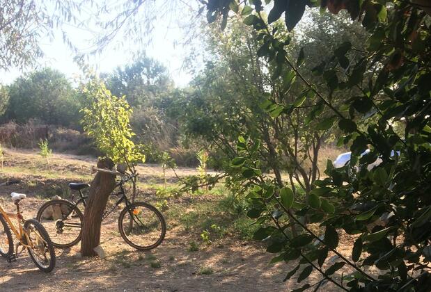 Casa Mini Bozcaada Otel - Görsel 3