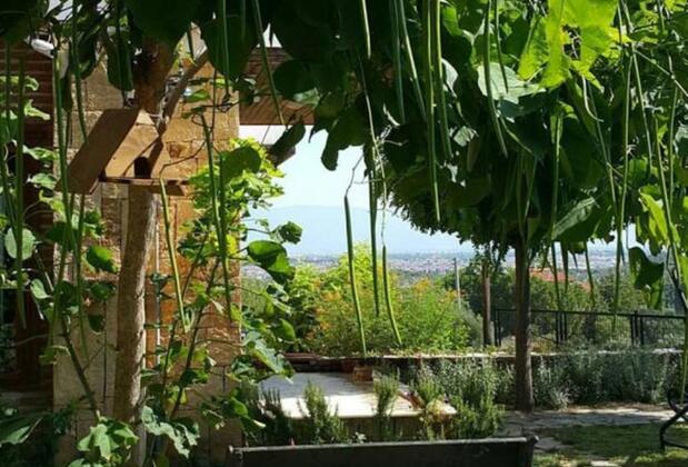 Daidalos Butik Hotel - Görsel 12