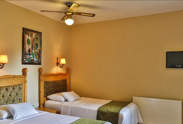 Palace Hotel Olive Odore - Görsel 3