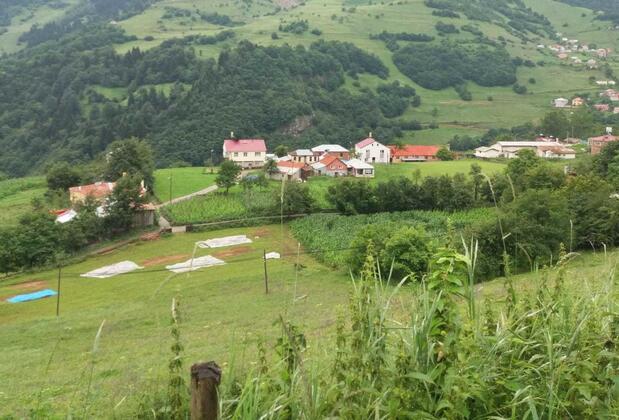 Hamsiköy Taş Otel - Görsel 12