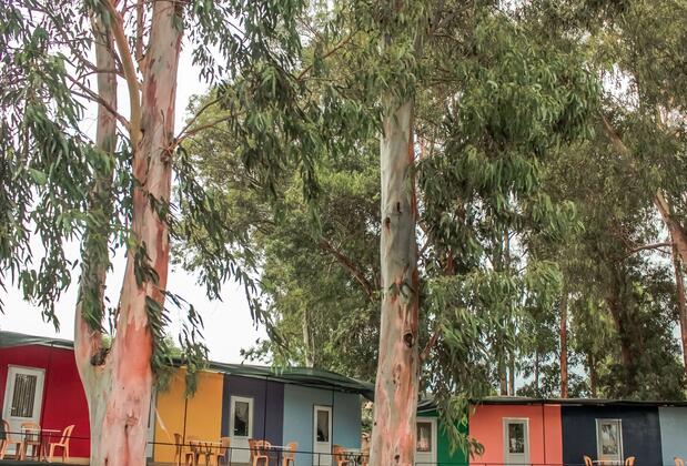 Patara Woody Hostel & Camping - Görsel 3