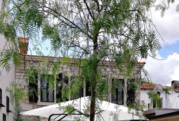 1870's Taş Konak Otel Garden - Görsel 21