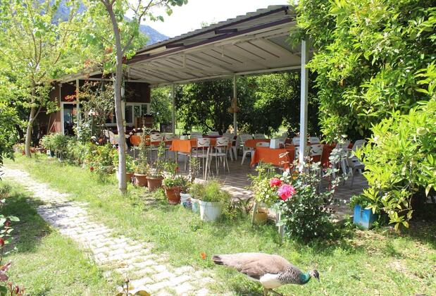 Saklıbahçe Pansiyon & Restaurant - Görsel 14