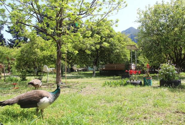 Saklıbahçe Pansiyon & Restaurant - Görsel 17