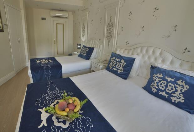 Sarnıç Premier Hotel İstanbul - Görsel 5