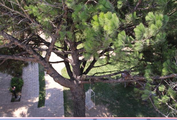 Sunset Troia Hotel - Görsel 16